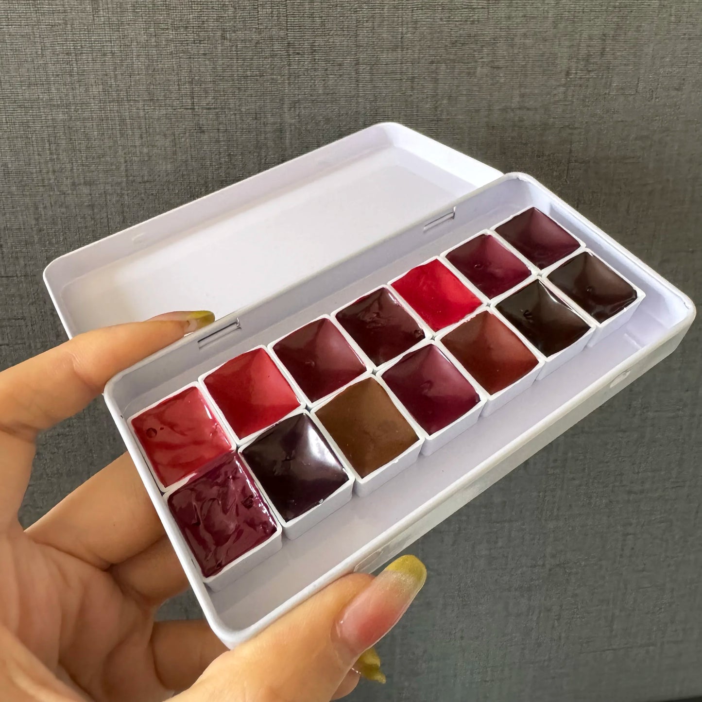 Daniel Smith Artist Watercolor Set Quinacridone Pigment