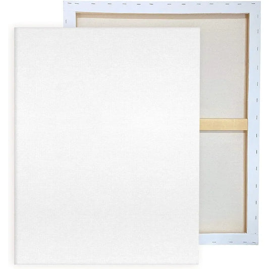 Hign-Con Concerned Pre Stretched Canvases 2 Pack Gesso Primed