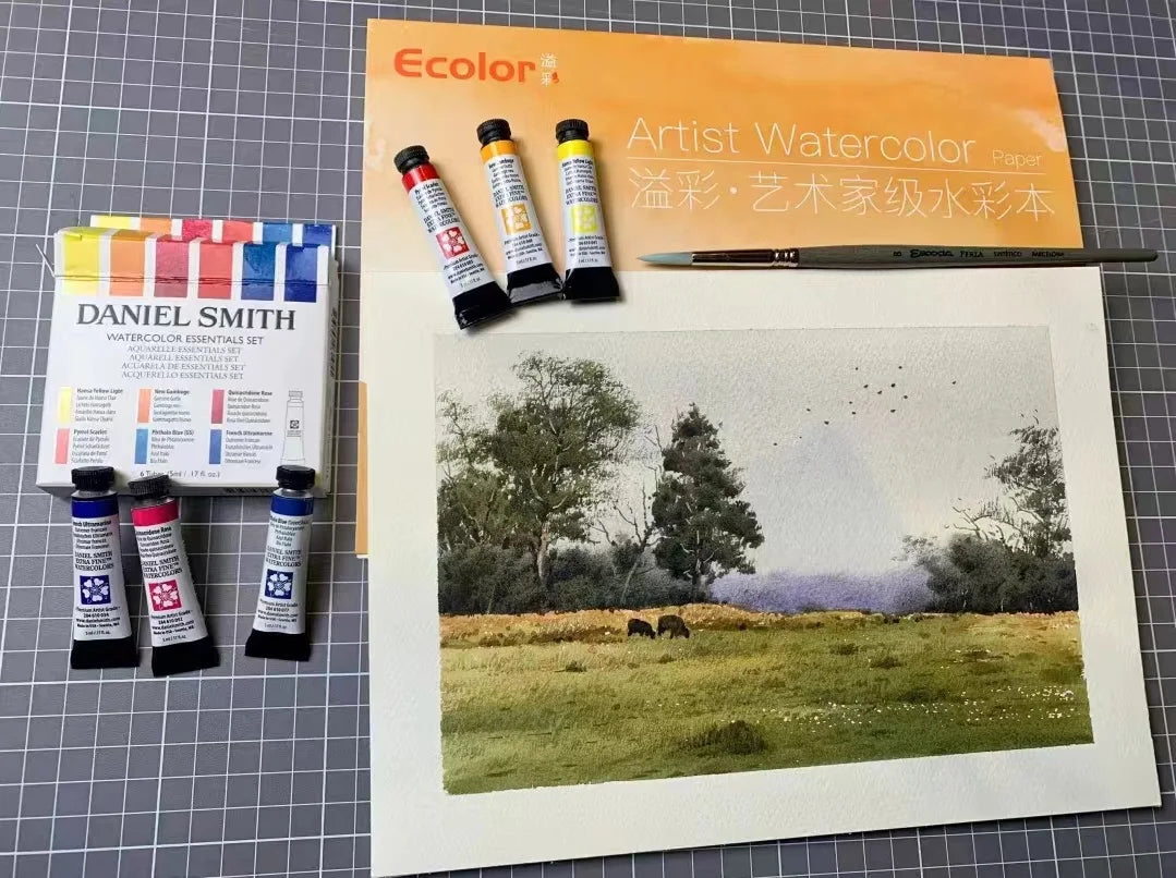Alvaro Haines Watercolor Pigment Set Professional Supplies